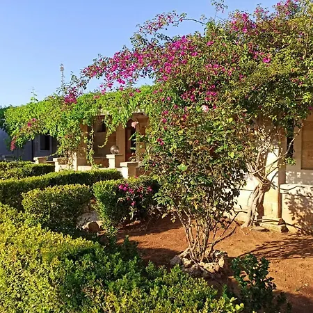 Tenuta Mazzetta Farm stay *
