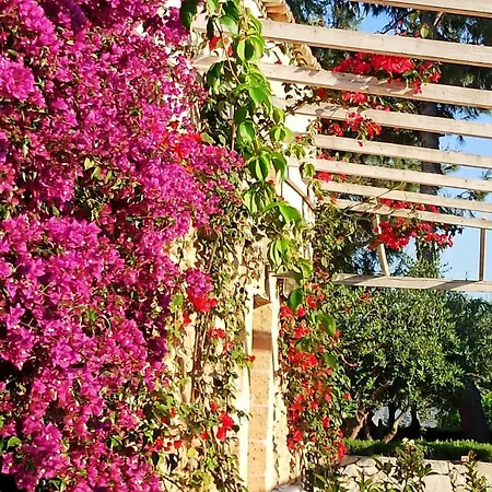 Alloggio per agriturismo Tenuta Mazzetta Mesagne