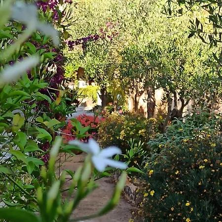 Tenuta Mazzetta *