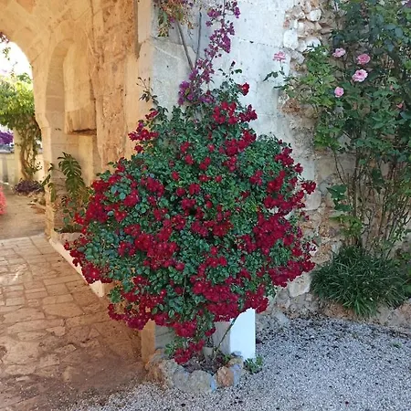 Tenuta Mazzetta Farm stay *